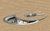Hohlbodentank, 12-fach, rund, belegbar, aufliegender Deckel aus Aluminium (9912T)