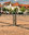 ESP24-1 Energiesäule/Energiepoller abschließbar, Edelstahl (ESP24)