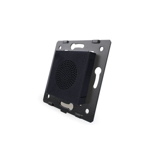 Innenleben Bluetooth Lautsprecher Box für die Wand, Schwarz